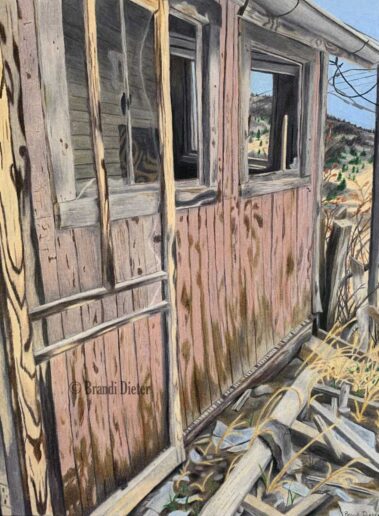 The Pink House by Brandi Dieter. This pink abandoned home is found overlooking the town of Victor, Colorado.