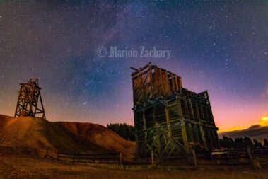 Photographer Marion Zachary