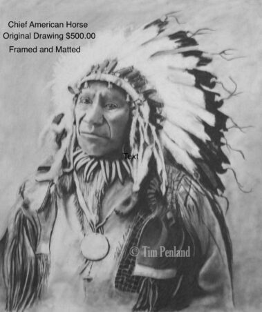 Twin Flame Gallery Artist Tim Penland Chief American Horse